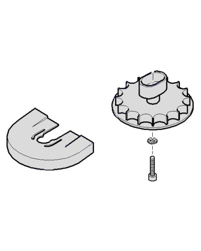Шестеренка для C001 Came 119RICX004 в Хабаровске Запчасти для шлагбаумов и автоматики Pintop.ru