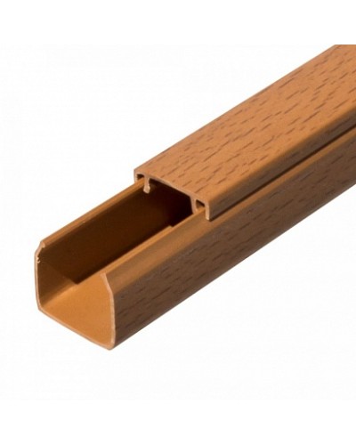 Кабель-канал бук 2-й замок в п/э 25х25 (32 м/уп) Промрукав (PR03.0198) в Хабаровске Огнестойкие кабельные линии Pintop.ru