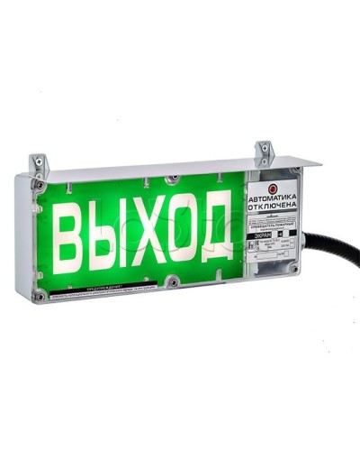 Оповещатель световой Эридан Экран-С-ККВ К1 12-24 VDC ВЫХОД цвет фона зеленый, надпись белая (КВБУ18+КВБУ18+ШТ25) в Хабаровске Взрывозащищенное оборудование (Ex) Pintop.ru