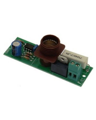 Плата лампы KIARO 24 Came 119RIR030 в Хабаровске Запчасти для шлагбаумов и автоматики Pintop.ru