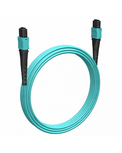 Кабельная сборка MPO(F) -MPO(F)-12 волокон 50/125 OM3, 2 m Cabeus (FOP-50-OM3-12-MPO(F)-12-MPO(F)-B-2m) в Хабаровске Кабельные сборки (оптические) Pintop.ru