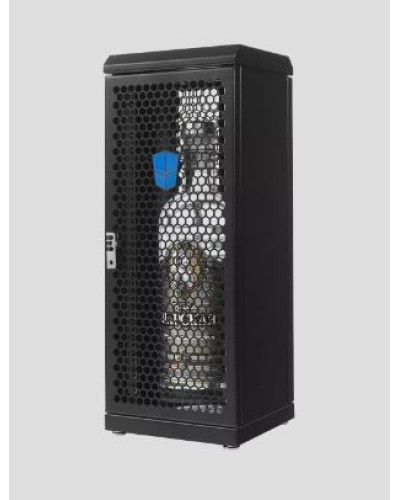 Шкаф серверный сувенирный ЦМО (ШТК-СП-С-8.1.1-9005) в Хабаровске Аксессуары для стоек и шкафов Pintop.ru