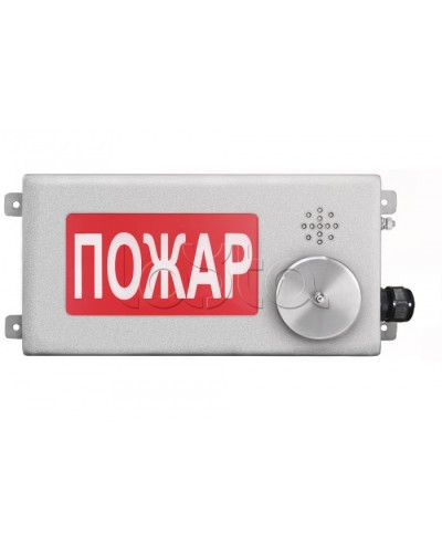 Табло светозвуковое взрывозащищенное Спектрон ТСЗВ-Exm-Н-Прометей-МИНИ 220В в Хабаровске Оповещатели Ex Pintop.ru