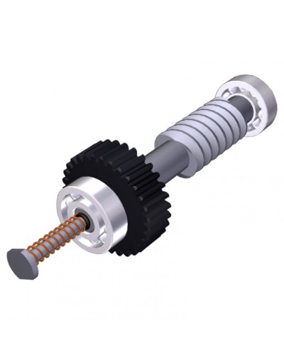 Червяк редуктора FAST40 Came 119RID374 в Хабаровске Запчасти для шлагбаумов и автоматики Pintop.ru