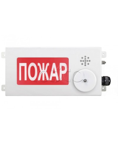 Табло светозвуковое взрывозащищенное Спектрон ТСЗВ-Exm-М-Прометей-МИНИ 220В в Хабаровске Оповещатели Ex Pintop.ru