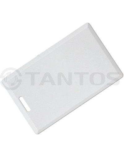 Карта толстая формата Temic Tantos Temic (толстая) TS в Хабаровске Оптовые идентификаторы Pintop.ru