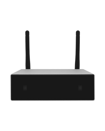 Усилитель потоковой передачи WIFI DSPPA DW-0250 в Хабаровске Система оповещения и трансляции Dsppa Pintop.ru