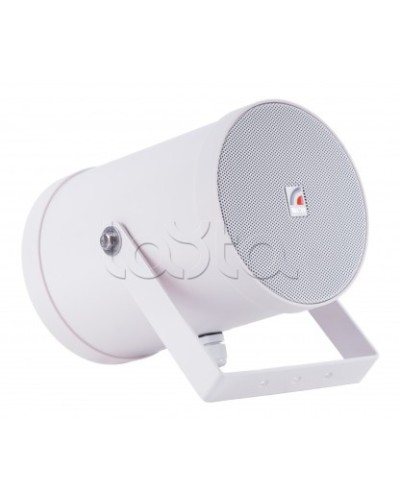 Двунаправленный Прожектор звуковой ROXTON SW-10T2 в Хабаровске Система оповещения и трансляции Roxton Pintop.ru