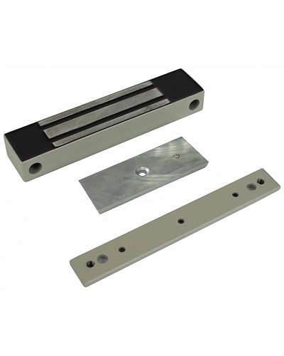 Электромагнитный влагозащищенный замок AccordTec ML-100K с планкой в Хабаровске Дополнительное оборудование для СКУД Pintop.ru