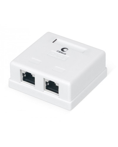 Розетка компьютерная RJ-45(8P8C), категория 6, экранированная, двойная, внешняя, Krone type Cabeus WS-8P8C-Cat.6-SH-2 в Хабаровске Розетки компьютерные и телефонные Pintop.ru