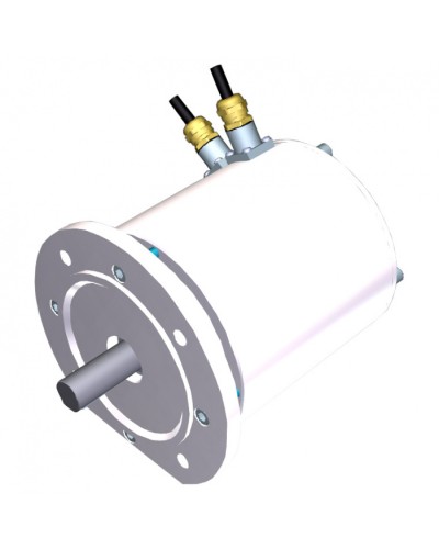 Электродвигатель FROG-MS Came 119RIA081 в Хабаровске Запчасти для шлагбаумов и автоматики Pintop.ru