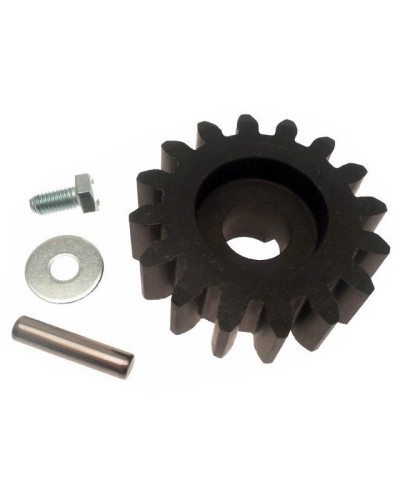 Шестерня пластиковая BXV800/1000 Came 119RIBS021 в Хабаровске Запчасти для шлагбаумов и автоматики Pintop.ru