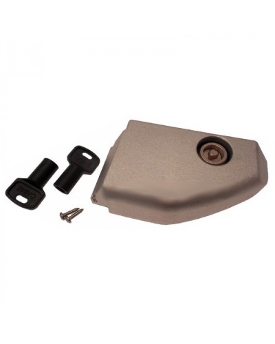 Дверца разблокировки с замком BX Came 119RIBX008 в Хабаровске Запчасти для шлагбаумов и автоматики Pintop.ru