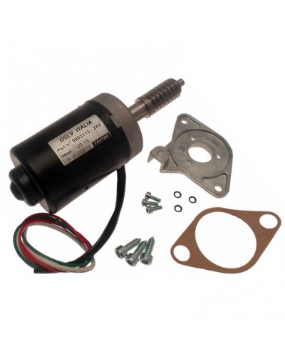 Электродвигатель BX-243 в сборе Came 119RIBX046 в Хабаровске Запчасти для шлагбаумов и автоматики Pintop.ru