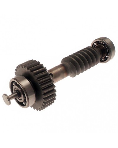 Червяк редуктора FAST в сборе Came 119RID228 в Хабаровске Запчасти для шлагбаумов и автоматики Pintop.ru