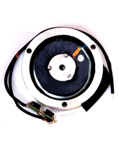 Электромагнит BY1500T Came 119RIY034 в Хабаровске Запчасти для шлагбаумов и автоматики Pintop.ru