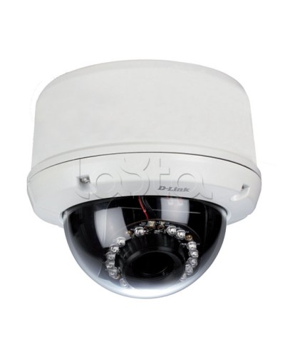 IP-камера видеонаблюдения уличная купольная D-Link DCS-6510/EP в Хабаровске IP-камеры Pintop.ru