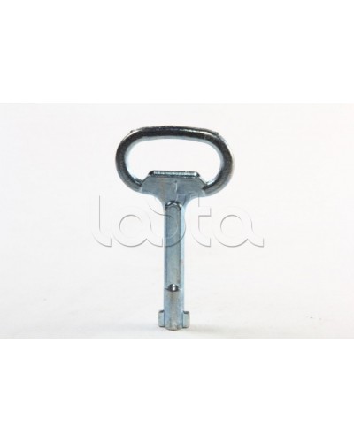 Металлический ключ с двойной бородкой 3мм DKC R5CE230 в Хабаровске Крепежные изделия Pintop.ru