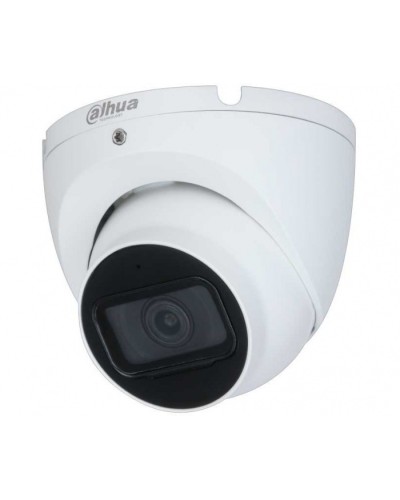 IP-камера видеонаблюдения уличная купольная Dahua DH-IPC-HDW2230TP-AS-0280B-S2 в Хабаровске IP-камеры Pintop.ru