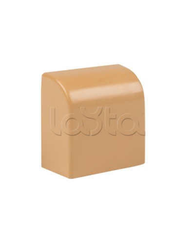 Заглушка (25х16) (4 шт) светлое дерево EKF-Plast (ecl-25-16x4) в Хабаровске Аксессуары для кабель-канала Pintop.ru