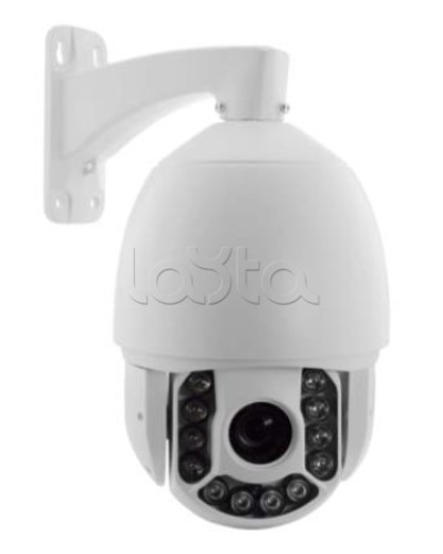 IP-камера видеонаблюдения купольная EverFocus ACE-ATE2033 в Хабаровске IP-камеры Pintop.ru