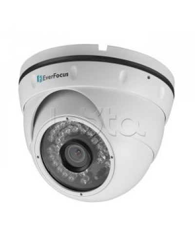 IP-камера видеонаблюдения купольная EverFocus ACE-IAV30 в Хабаровске IP-камеры Pintop.ru