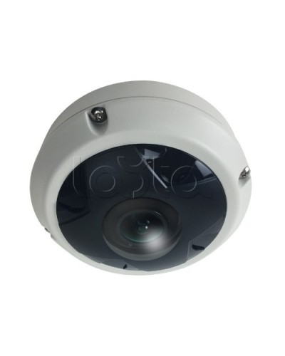 IP-камера видеонаблюдения купольная EverFocus ACE-KU89F в Хабаровске IP-камеры Pintop.ru