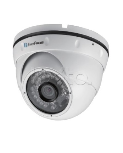 IP-камера видеонаблюдения уличная купольная EverFocus EBN-268 в Хабаровске IP-камеры Pintop.ru