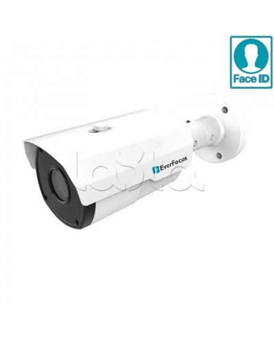 IP-камера видеонаблюдения в стандартном исполнении EverFocus EZN-2850 в Хабаровске IP-камеры Pintop.ru