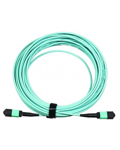 Сборка кабельная LANMASTER (LAN-12M-12M/OM3B-5.0) в Хабаровске Коннекторы Pintop.ru