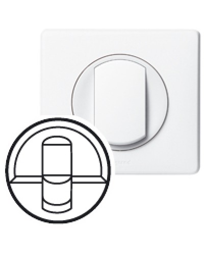 Клавиша для выключателя Celiane Legrand 068251 в Хабаровске Аксессуары для кабель-канала Pintop.ru