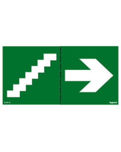 Пиктограмма 100х200 лестница стрелка Legrand 661672 в Хабаровске Дополнительное оборудование для ОПС Pintop.ru