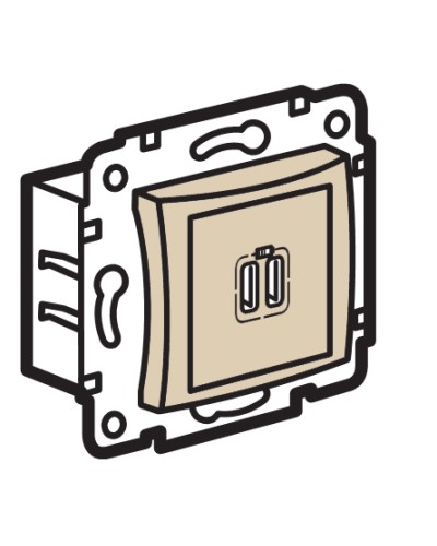 Устройство зарядное с коннекторами USB Legrand (774170) в Хабаровске Аксессуары для кабель-канала Pintop.ru