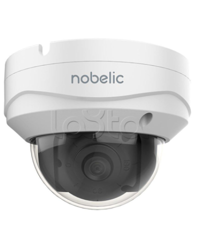 IP-камера в купольном исполнении Nobelic NBLC-2231F-ASDV3 в Хабаровске IP-камеры Pintop.ru