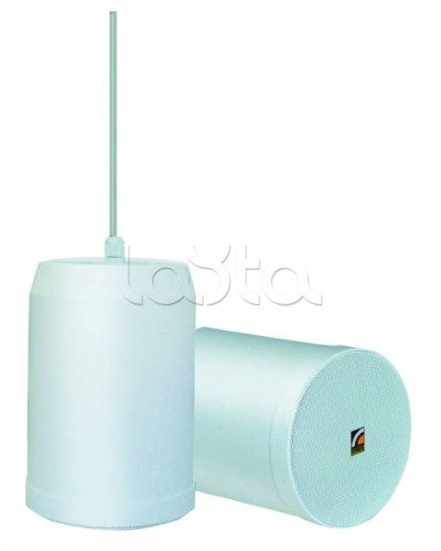 Громкоговоритель встраиваемый ROXTON SP-20T в Хабаровске Система оповещения и трансляции Roxton Pintop.ru