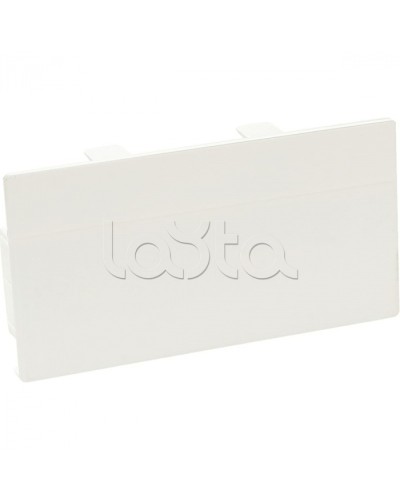 Заглушка торцевая для кабельного канала 100х50 SPL 100002S в Хабаровске Аксессуары для кабель-канала Pintop.ru