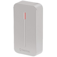 Считыватель карт Em-marin Tantos TS-RDR-E mini (серый)