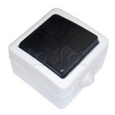 Экопласт EF602SA Переключатель 2-полюсный, двухклавишный с 2-х мест (сх.6+6) 10A (сер.)