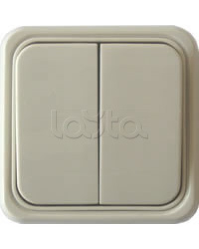 Выключатель двухклавишный открытой установки Экопласт, схема 5, (бежевый) в Хабаровске Розетки компьютерные и телефонные Pintop.ru