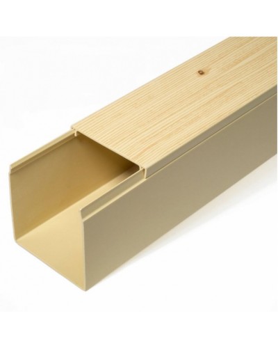 Кабель-канал сосна 2-й замок в п/э 60х60 (12 м/уп) Промрукав (PR03.0188) в Хабаровске Кабель-канал Pintop.ru