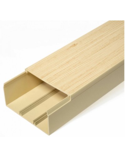 Кабель-канал сосна 2-й замок в п/э 100х60 (8 м/уп) Промрукав (PR03.0192) в Хабаровске Кабель-канал Pintop.ru