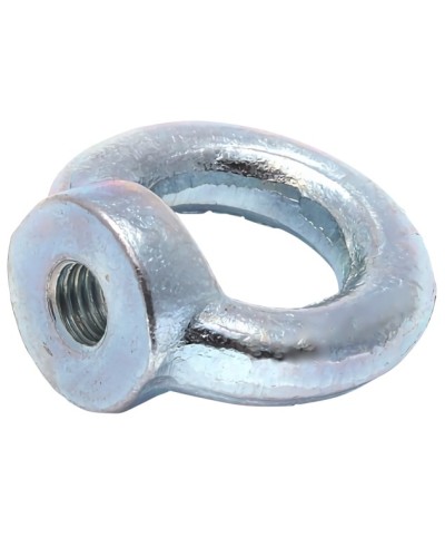 Рым-гайка М10 DIN 582 (50 шт/уп) Промрукав (PR08.3905) в Хабаровске Крепеж Pintop.ru