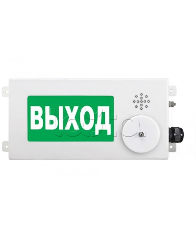 Табло световое взрывозащищенное Спектрон ТСВ-Exi-М-Прометей-МИНИ 12-36В в Хабаровске Оповещатели Ex Pintop.ru