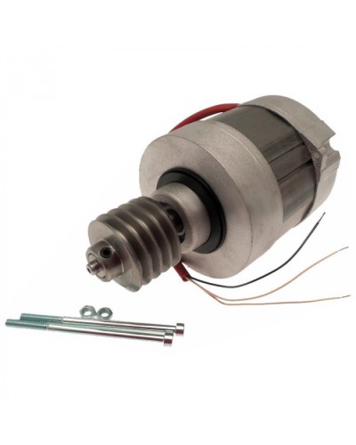 Электродвигатель BX-A, BX-74 в сборе Came 119RIBX016 в Хабаровске Запчасти для шлагбаумов и автоматики Pintop.ru