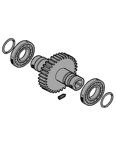 Вал выходной EMEGA Came 119RIE062 в Хабаровске Запчасти для шлагбаумов и автоматики Pintop.ru