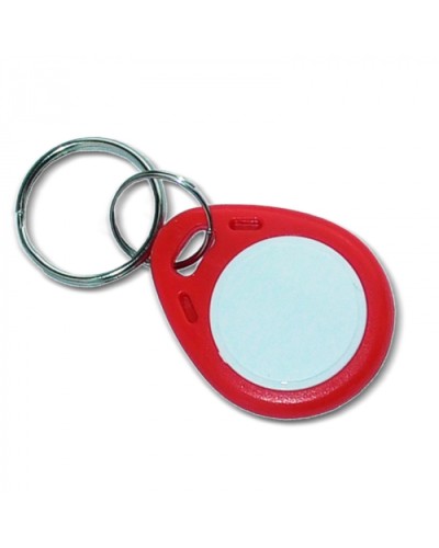 Ключ стандарта Mifare Цифрал КП-1К (брелок) в Хабаровске Оптовые идентификаторы Pintop.ru