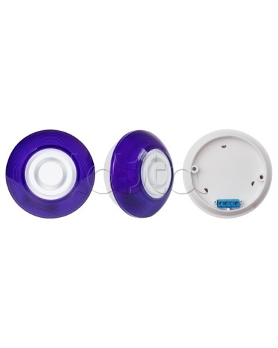 Оповещатель комбинированный SLT Марс 12-КП (строб, син) в Хабаровске Оповещатели Pintop.ru