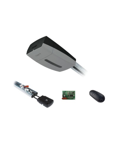 Комплект автоматики для секционных ворот Came V10DMS2.25 KIT (до 2,25 м до 18 м2) в Хабаровске Автоматизация ворот Pintop.ru