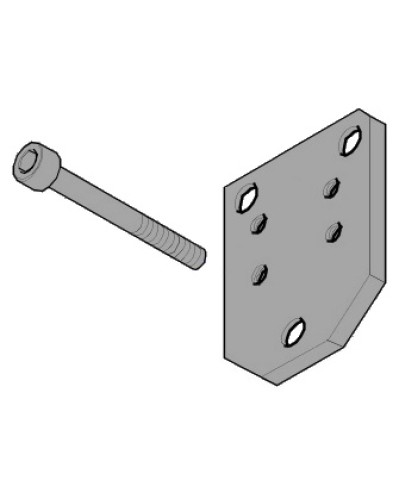Пластина монтажная FLEX Came 119RID143 в Хабаровске Запчасти для шлагбаумов и автоматики Pintop.ru