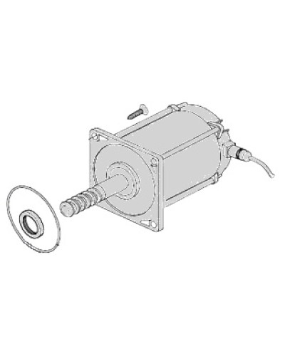 Электродвигатель Came 119RIA025 в Хабаровске Запчасти для шлагбаумов и автоматики Pintop.ru